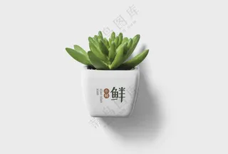 绿植盆摘logo贴图样机-27