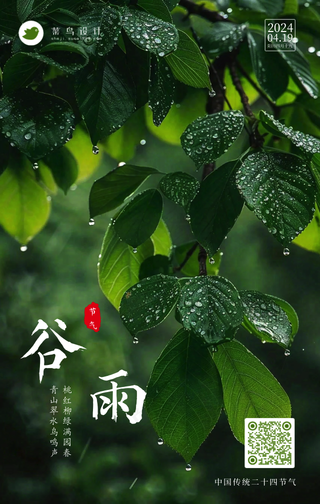 谷雨手机海报
