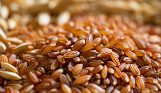 世界粮食日谷物米饭稻谷小麦摄影图