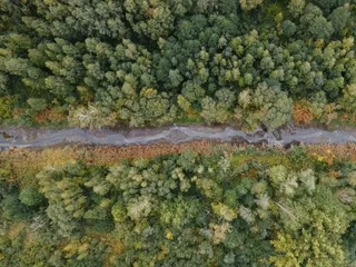 秋日森林之韵：航拍色彩画卷