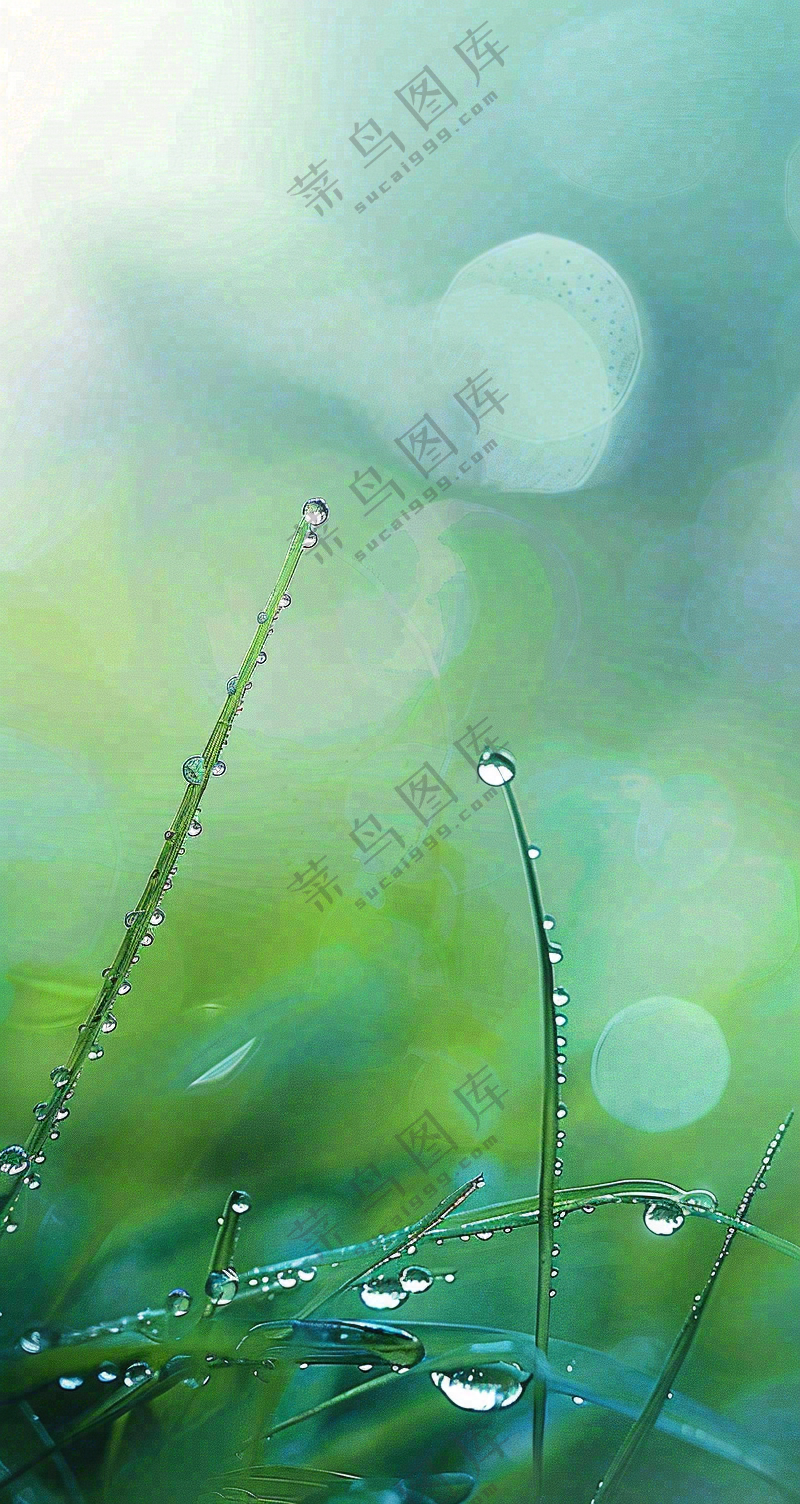 白露节气