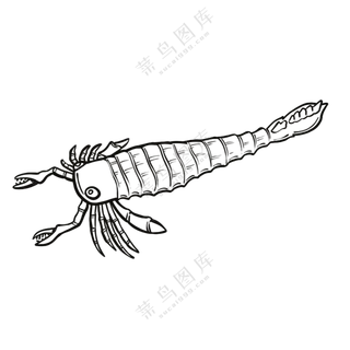 板足鲎-古海洋生物/线稿/卡通