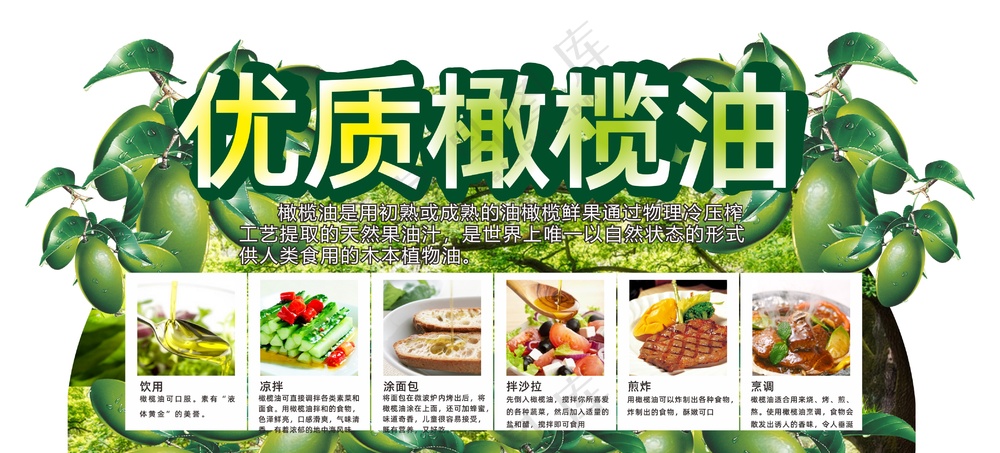 橄榄油设计