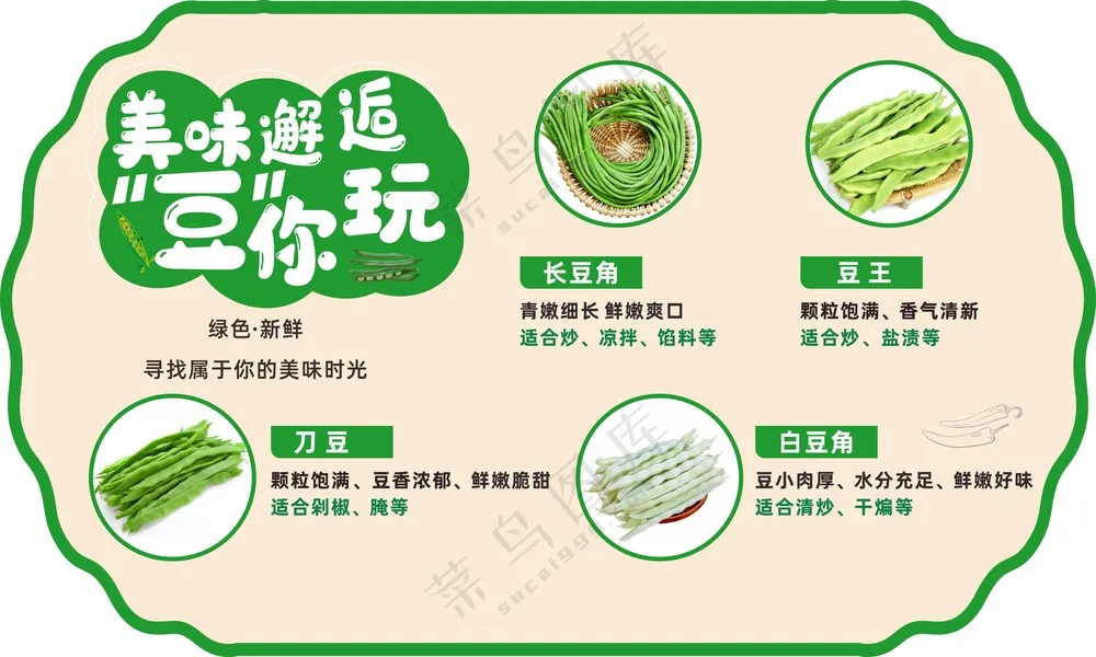 豆角类吊牌