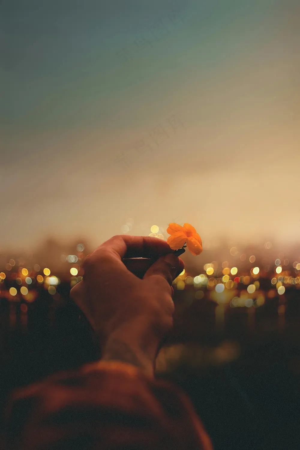 孤城橙花紧握 - 夜景剪影 - 橙韵深沉 - 情绪表达