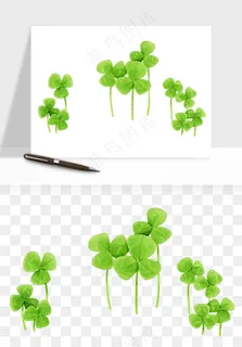 手绘四叶草幸运植物png免抠