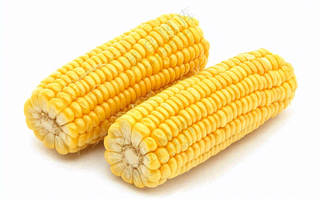玉米蔬菜生鲜摄影图