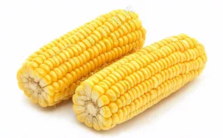 玉米蔬菜生鲜摄影图