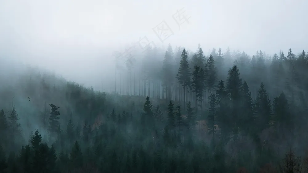 雾锁密林·朦胧幽境·灰蓝绿韵·艺术收藏