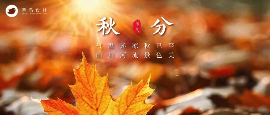 秋分公众号首图