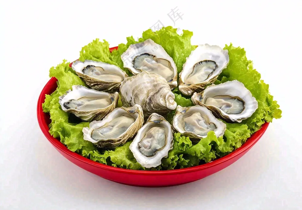 新鲜生蚝宵夜食物海鲜摄影图