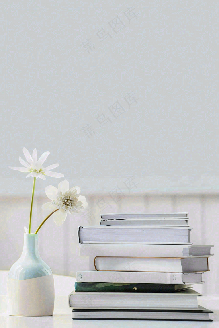 文静花瓶装饰书本阅读知识世界读书日摄影图