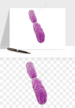 病毒细菌癌细胞png免抠