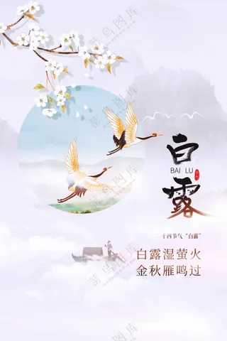 白露节气传统海报
