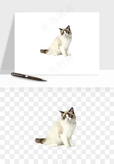 猫咪喵星人狗狗宠物元素png免抠