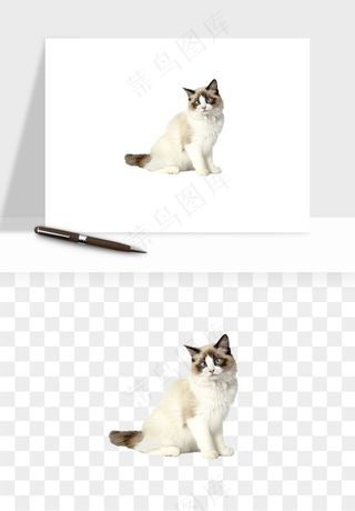 猫咪喵星人狗狗宠物元素png免抠