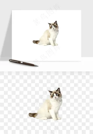 猫咪喵星人狗狗宠物元素png免抠