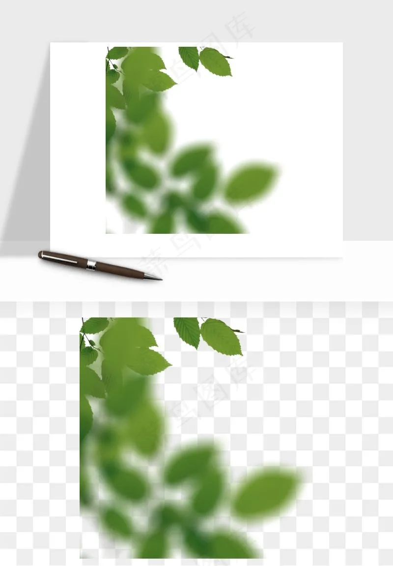 绿叶虚化前景树枝png免抠