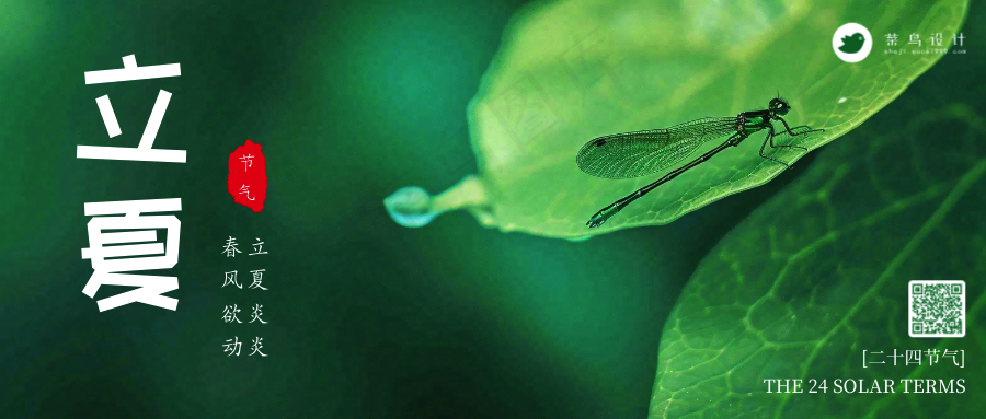 立夏公众号首图