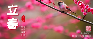 立春公众号首图