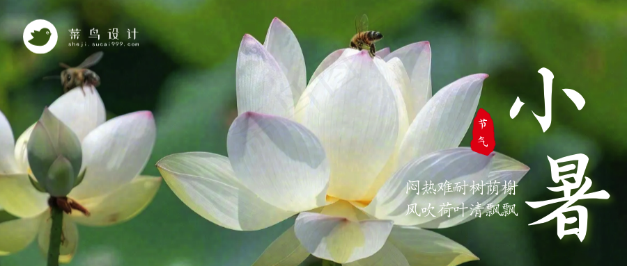 小暑公众号首图