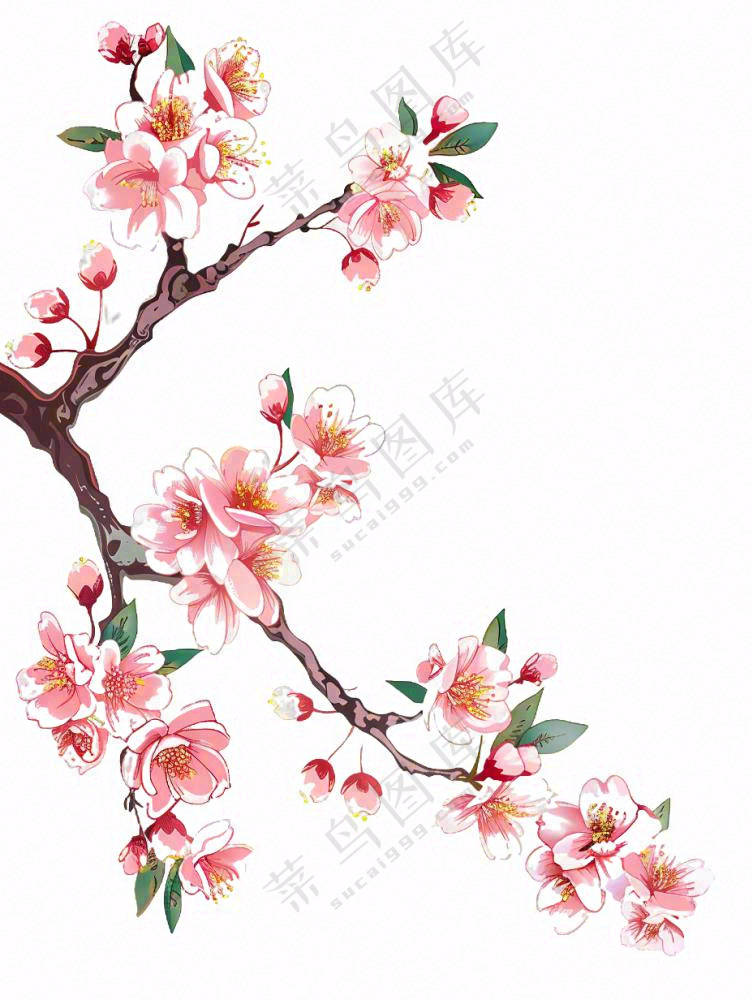 春天桃花树上小鸟喜鹊插画免抠