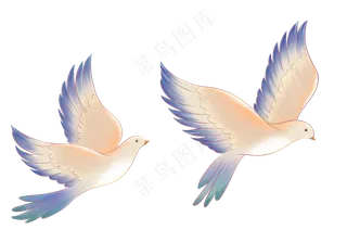 卡通漫画喜鹊比翼鸟