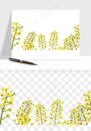 油菜花田png免抠