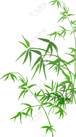 竹子  竹叶  竹林  手绘竹子   点缀   免抠素材