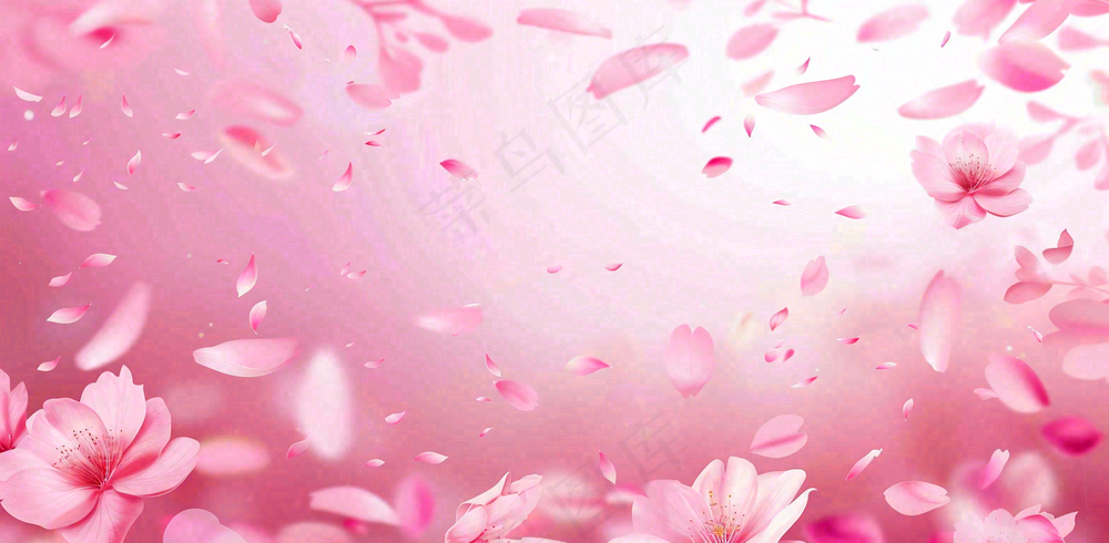 粉色樱花花瓣唯美妇女节春天摄影图