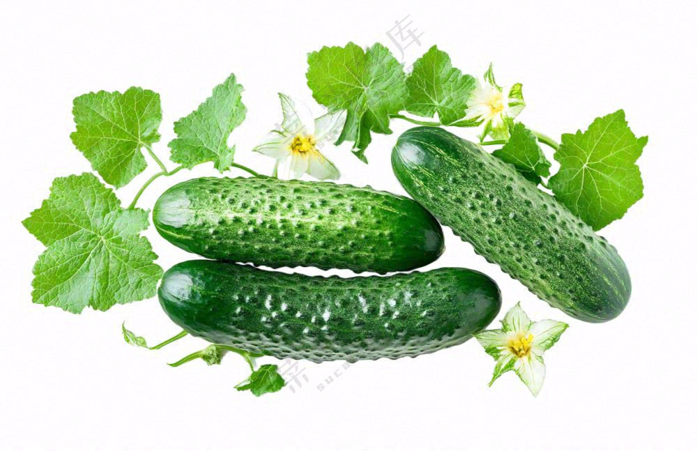 青瓜黄瓜蔬菜免抠