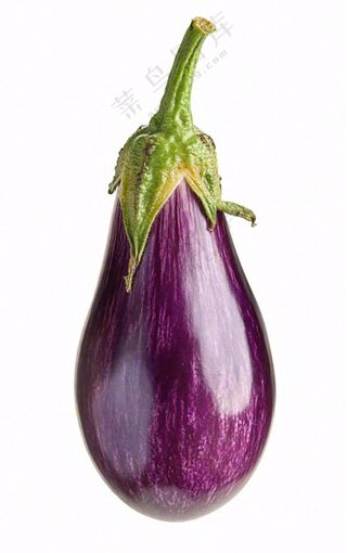 茄子紫茄蔬菜免抠