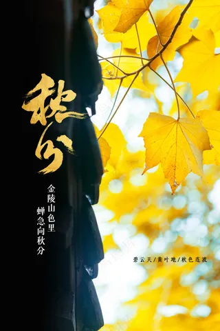 秋分节气传统活动海报