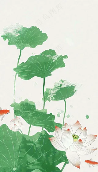 夏天荷花荷叶清凉小清新淡雅小暑大暑处暑插画背景