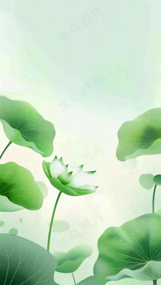 夏天荷花荷叶清凉小清新淡雅小暑大暑处暑插画背景