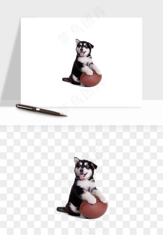 猫咪喵星人狗狗宠物元素png免抠