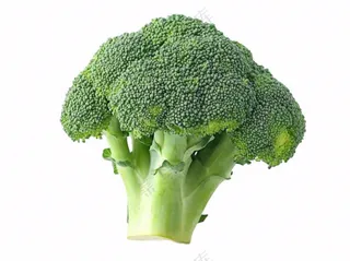 西蓝花蔬菜免抠