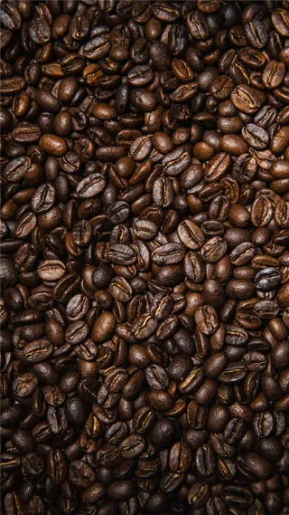 咖啡豆背景图片素材