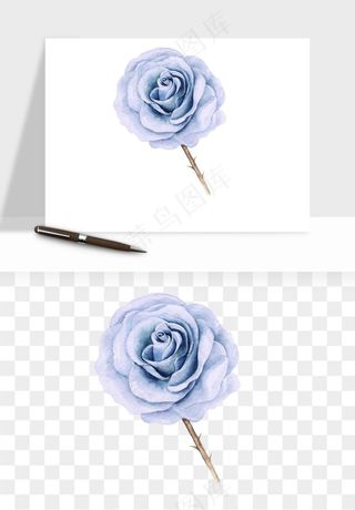 水彩复古植物花卉png免抠