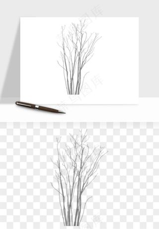 阴影植物窗户投影免抠元素