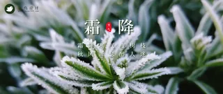 霜降公众号首图