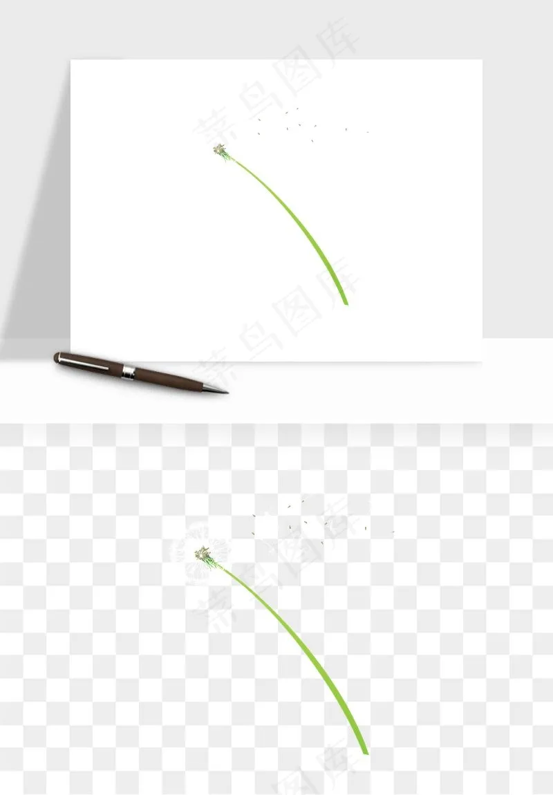 唯美蒲公英种子png免抠
