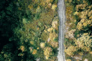 秋日林间小径航拍图