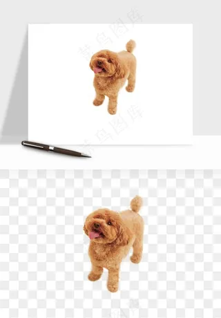 猫咪喵星人狗狗宠物元素png免抠