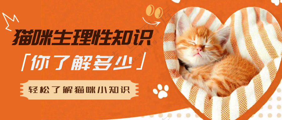 萌宠宠物知识常识公众号首图
