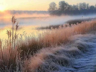 清晨河边雾气朝霞芦苇草地摄影图