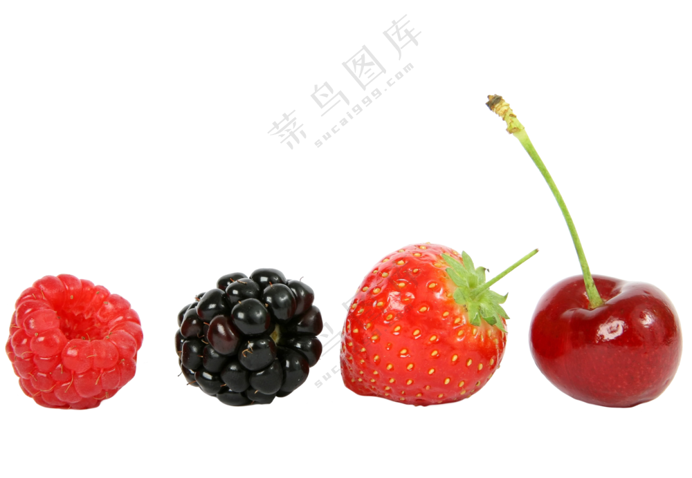 浆果可爱又好吃红色免扣素材