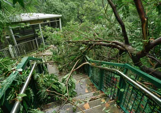 台风预警天气自然灾害