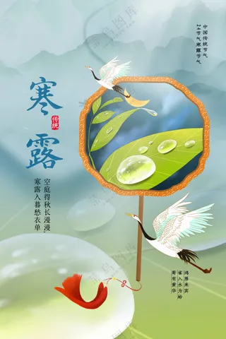 插画寒露节气传统活动海报