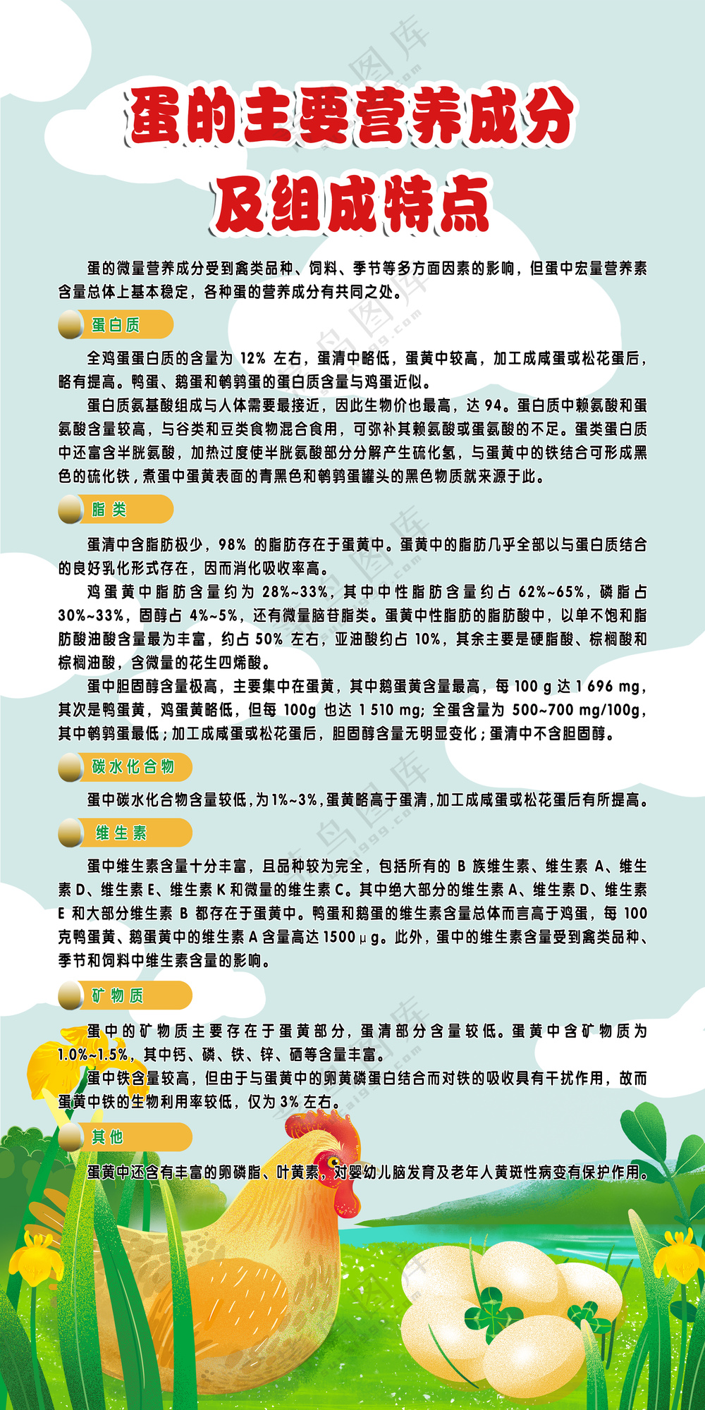 冷色调简约蛋的营养价值